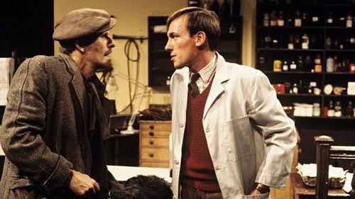 All Creatures Great and Small Season 2 Episode 1 - Cats and Dogs