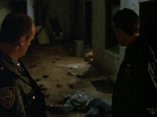 Law & Order Season 1 Episode 8 - Poison Ivy