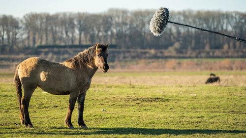 Backlight Season 21 Episode 12 - Episode 12