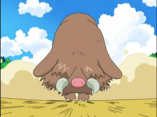 Pokémon Season 12 Episode 2 - A Breed Stampede!