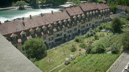 Hinter den Hecken Season 2 Episode 3 - A city garden