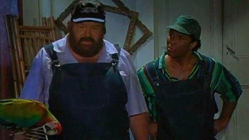 undefined Season 1 Episode 5 - Dollars