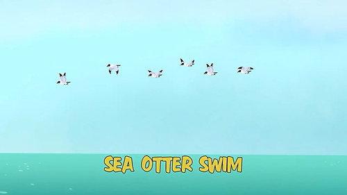 Wild Kratts Season 4 Episode 5 - Sea Otter Swim