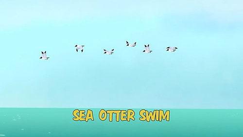 Wild Kratts Season 4 Episode 5 - Sea Otter Swim
