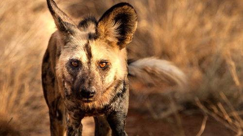 Life Story Season 1 Episode 3 - Home