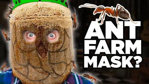 Good Mythical Morning Season 17 Episode 17 - What Mask Am I Wearing? (GAME)