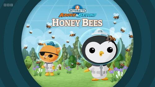 Octonauts: Above & Beyond Season 4 Episode 6 - Honeybees