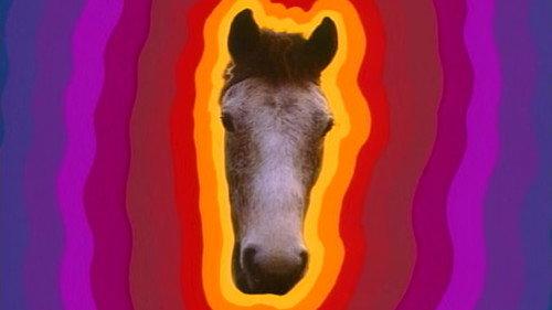 undefined Season 2 Episode 5 - A Song for Europe