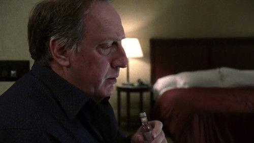 Law & Order Season 18 Episode 12 - Submission