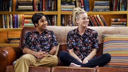 The Big Bang Theory Season 10 Episode 19 - The Collaboration Fluctuation