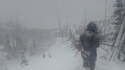 Alone Season 9 Episode 11 - Fight, Flight or Freeze