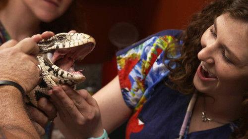 Dr. K's Exotic Animal ER Season 3 Episode 5 - Snake, Rattle & Roll