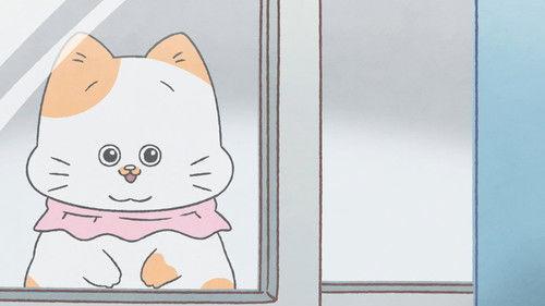 Cat Uncle: The Guy That Got Reincarnated As a Cat Season 1 Episode 17 - Episode 17