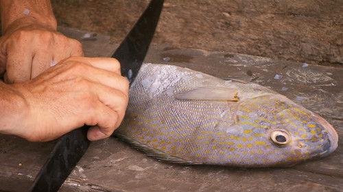 Robinson Season 25 Episode 14 - Episode 14