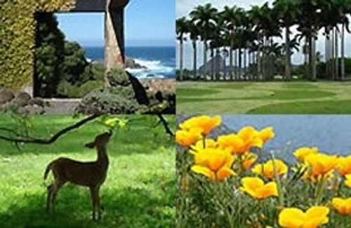 Around the World in 80 Gardens Season 1 Episode 4 - South America