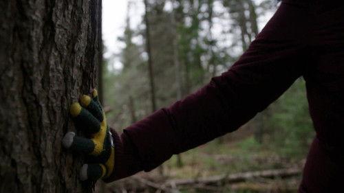 A Killer's Mistake Season 2 Episode 8 - Kelly Cochrane