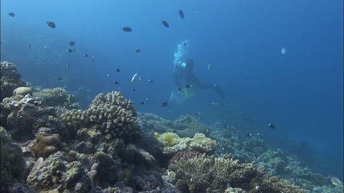 Testimony of N Season 1 Episode 5 - Episode 5