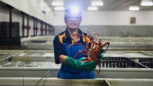 The World of the Chinese Season 2 Episode 4 - Australia