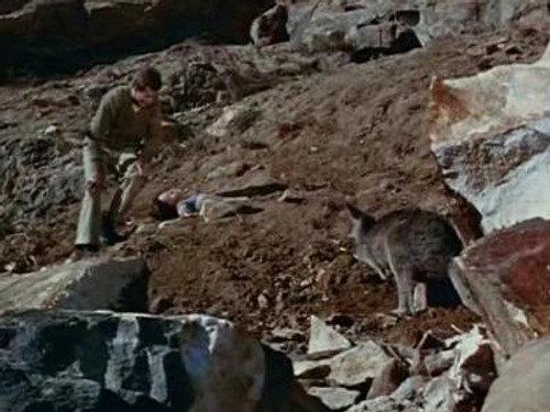 Skippy the Bush Kangaroo Season 2 Episode 11 - Flying Saucers