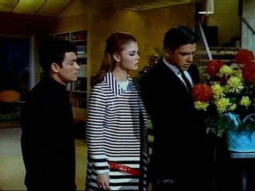 The Green Hornet Season 1 Episode 24 - Hornet Save Thyself