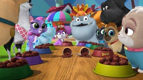 Puppy Dog Pals Season 3 Episode 5 - Turkey on the Town