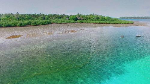 Africa's Underwater Wonders Season 1 Episode 3 - Mafia Island - Uncharted Paradise