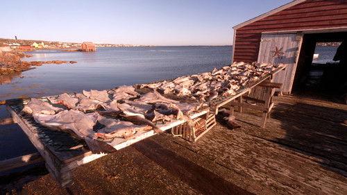 60 Minutes Season 54 Episode 13 - 12/12/2021: Negotiating With the Taliban, Let There Be Light, An Island Off an Island