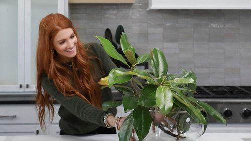 No Demo Reno Season 2 Episode 1 - Marriage Mulligan