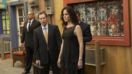 Weeds Season 5 Episode 11 - Ducks and Tigers