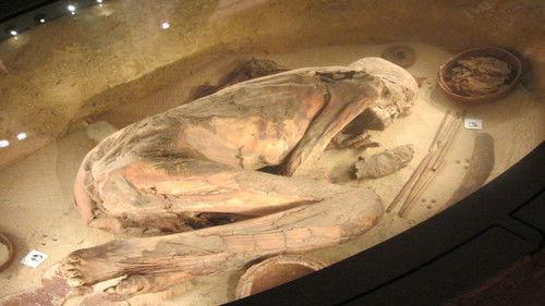 Ulisse - The pleasure of discovery Season 13 Episode 7 - I tesori del Museo Egizio di Torino (seconda versione)