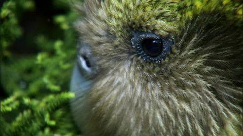 undefined Season 1 Episode 3 - New Arrivals