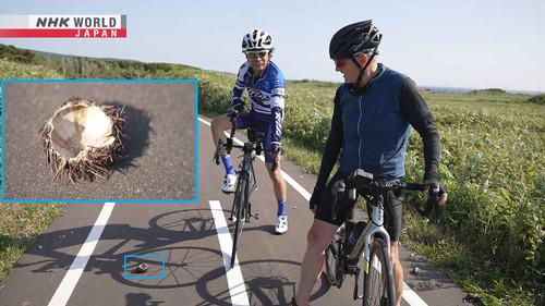 Wild Hokkaido! Season 6 Episode 9 - Cycling Around Rishiri Island