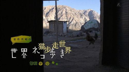 Mitsuaki Iwago's World “Cats” Travelogue Season 1 Episode 18 - Chile