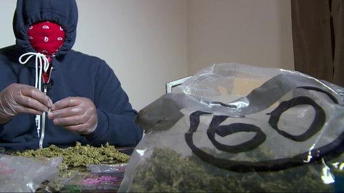 Drugs, Inc. Season 6 Episode 4 - Marijuana Mayhem