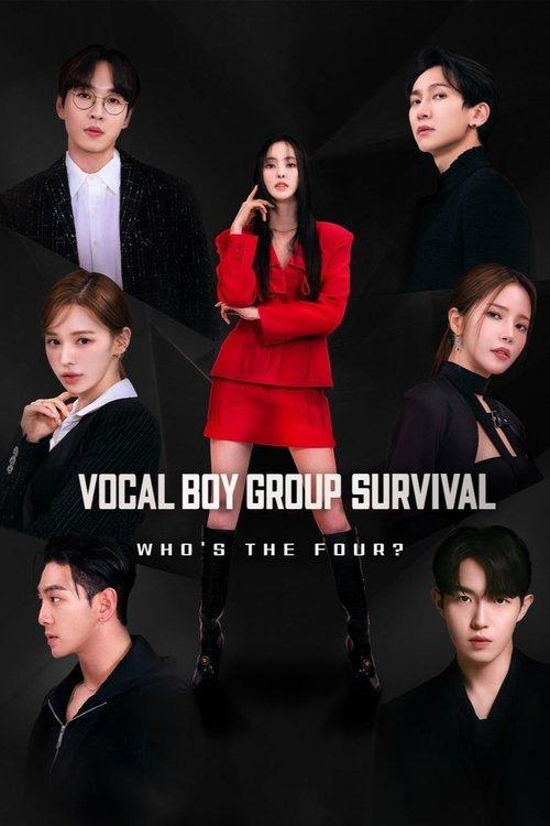 Build Up: Vocal Boy Group Survival poster
