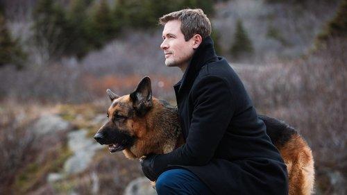 Hudson & Rex Season 3 Episode 9 - Grave Matters