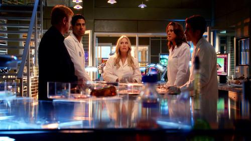 CSI: Miami Season 9 Episode 1 - Fallen