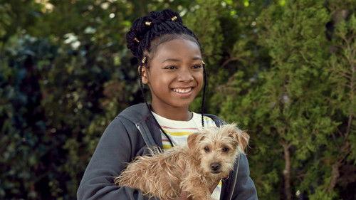 Puppy Place Season 2 Episode 3 - Lucky