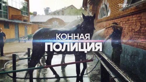 Mounted Police Season 1 Episode 11 - Episode 11