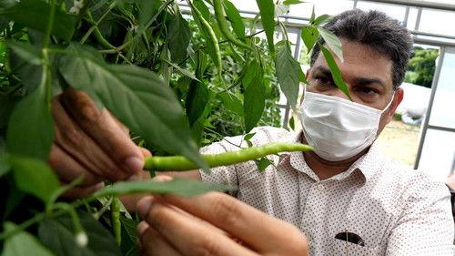 Where We Call Home Season 2 Episode 21 - Business with Passion and Spice