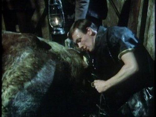 All Creatures Great and Small Season 2 Episode 12 - Pups, Pigs and Pickles