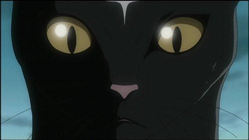 D.Gray-man Season 1 Episode 50 - Feelings of Devotion