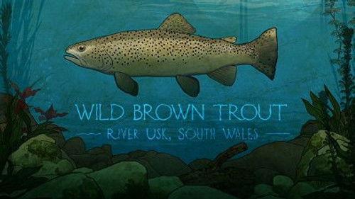 Mortimer & Whitehouse: Gone Fishing Season 2 Episode 1 - Wild Brown Trout: River Usk, South Wales