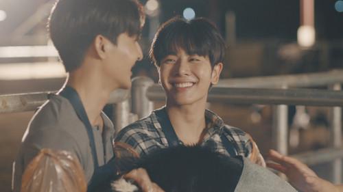 Cupid's Last Wish Season 1 Episode 1 - Episode 1