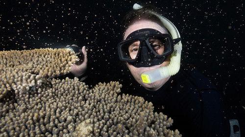 Ningaloo Nyinggulu Season 1 Episode 3 - Choices