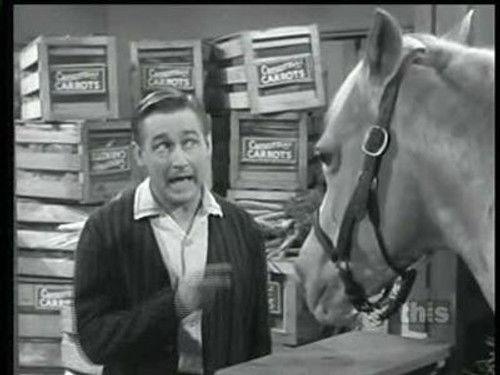 Mister Ed Season 5 Episode 10 - Ed's Juice Stand
