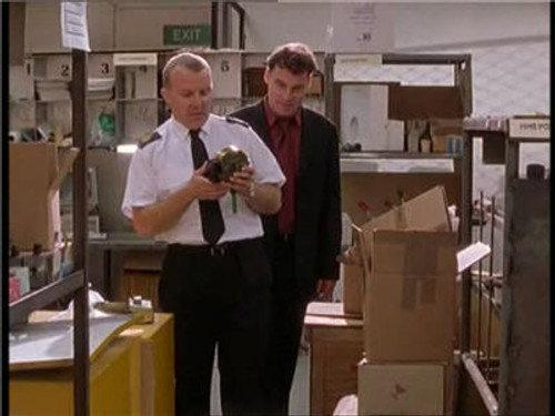 Bugs Season 4 Episode 8 - Twin Geeks