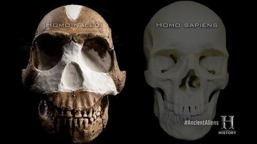 Ancient Aliens Season 11 Episode 10 - The Prototypes