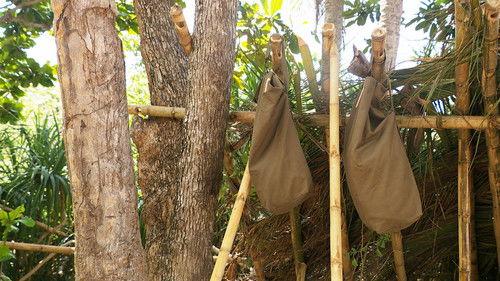 Robinson Season 25 Episode 22 - Episode 22