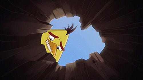 Angry Birds Toons Season 2 Episode 4 - Hide and Seek